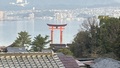 宮島　ホテル菊乃家