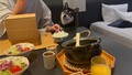 愛犬と泊まれる宿　Ｄ＋ＫＩＲＩＳＨＩＭＡ