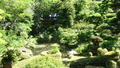 箱根湯本温泉　吉池旅館