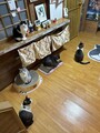 ゆる宿　猫太丸