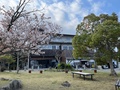 屋島の宿　桃太郎