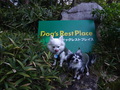 二の平温泉　ペットと泊まる宿　Ｄｏｇ’ｓ　Ｒｅｓｔ　Ｐｌａｃｅ