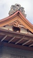 【自家源泉かけ流】緑に囲まれた癒しの湯　湯河原温泉　伊豆屋旅館　＾