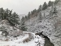 効能溢れる癒しの湯治宿　玉川温泉