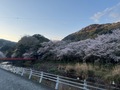 民宿　なか川