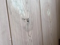 ｇｕｅｓｔｈｏｕｓｅ　甚之丸＜大島＞