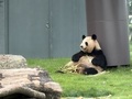 白浜温泉　白良荘グランドホテル