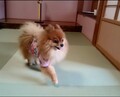熱海・網代温泉　網代観光ホテル