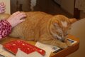 猿ヶ京温泉　山と湖の絶景に浮かぶ宿　料理旅館　樋口