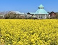 美味しい温泉　夢みさき