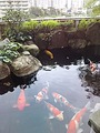 宝塚温泉　ホテル若水