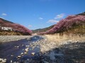 伊豆長岡温泉　ホテルサンバレー富士見
