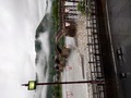 割烹旅館　白為旅館