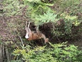 温泉山岳ホテル　アンデルマット