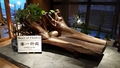 伊豆熱川温泉　六つの貸切風呂を湯めぐり　ふたりの湯宿　湯花満開