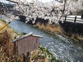 甲州牛の宿　石和温泉　石和常磐ホテル