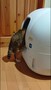 PETKIT 猫 自動トイレ 自動洗浄 PETKIT PuraMax2 猫自動トイレ レビュー画像10