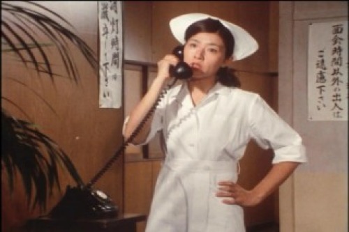 PDVD_024.jpg
