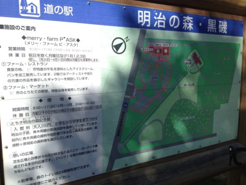 紅葉を探すライト?！02.jpg