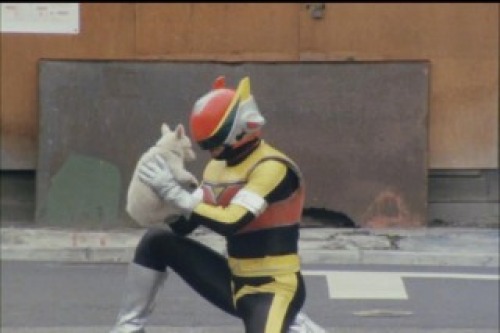 PDVD_001.jpg