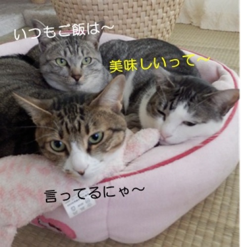 20141018_10.jpg