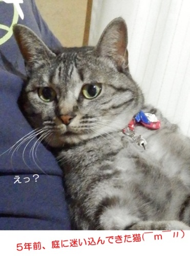20150913_6.jpg