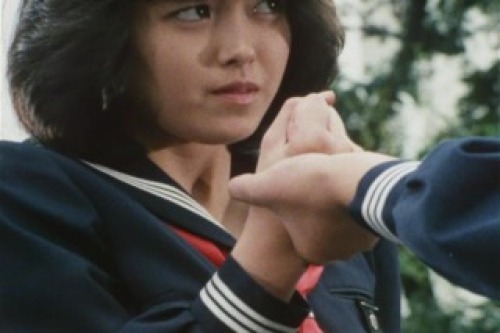 PDVD_008.jpg