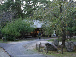 名古屋城6.jpg