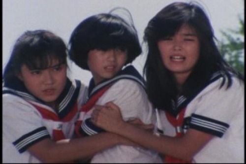 PDVD_035.jpg