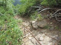 IMG_7786_R.JPG