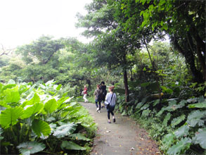 沖縄132.jpg