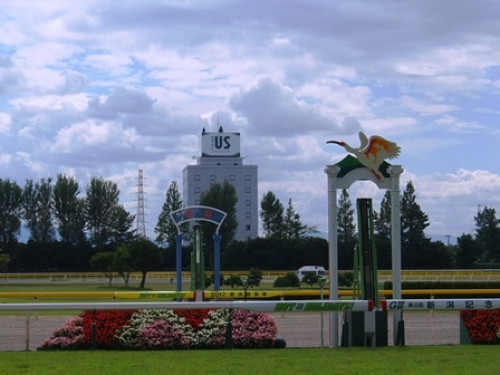 DSCF8565.JPG