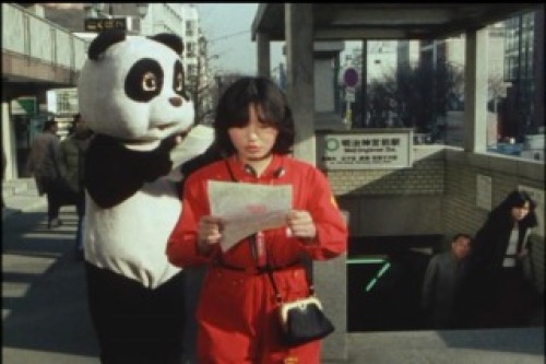 PDVD_007.jpg