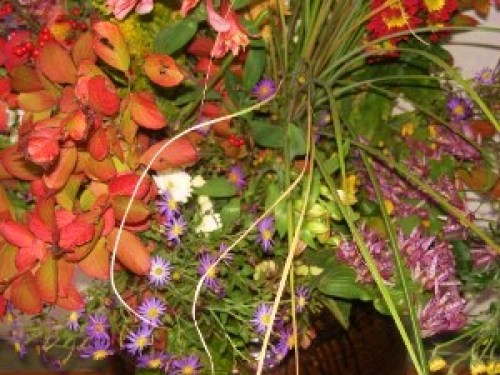 DSCN1927 (300x225).jpg