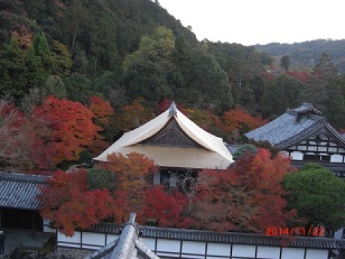 南禅寺山門から１.jpg
