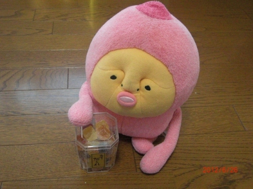 CIMG6169 (640x480).jpg