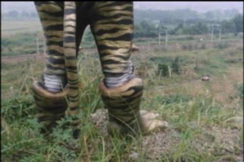 PDVD_000.jpg