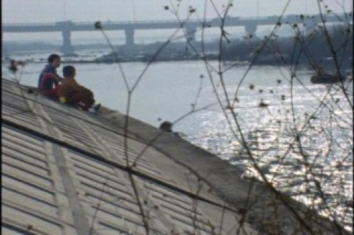 PDVD_009.jpg