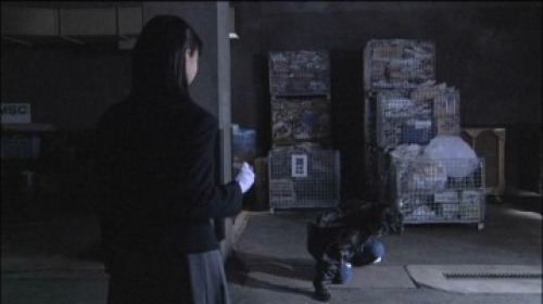 PDVD_041.jpg