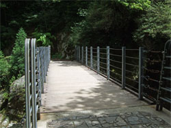 屋久島35.jpg