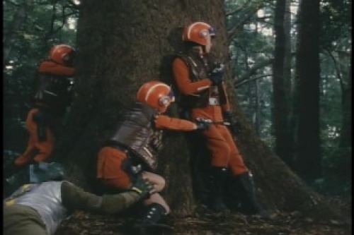 PDVD_018.jpg