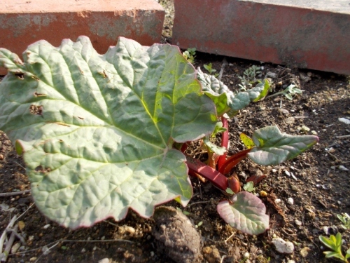 DSCN0303 (640x480).jpg