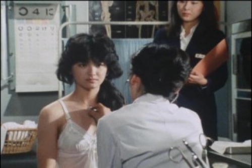 PDVD_008.jpg