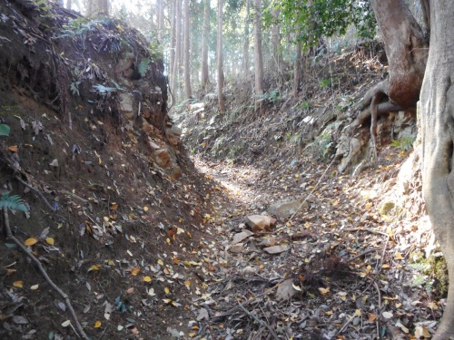 上赤坂城登城道 (3).JPG