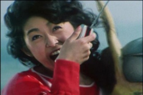 PDVD_009.jpg
