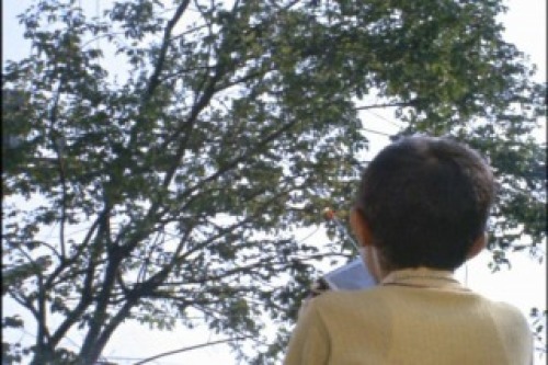 PDVD_009.jpg