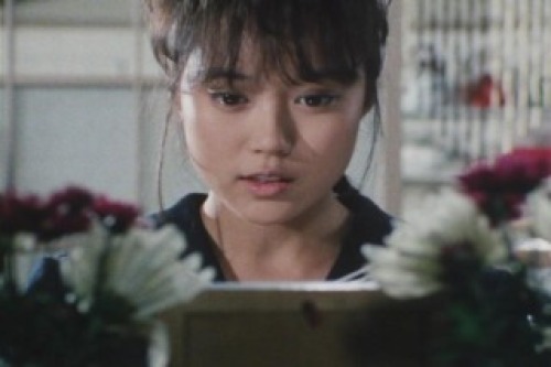 PDVD_001.jpg