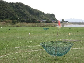 河川敷　2012.10.08 008.jpgブログ.jpg