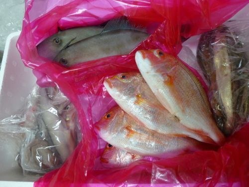 20120127宿院商店