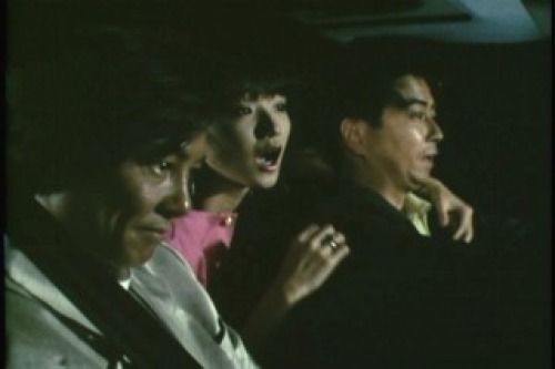 PDVD_011.jpg